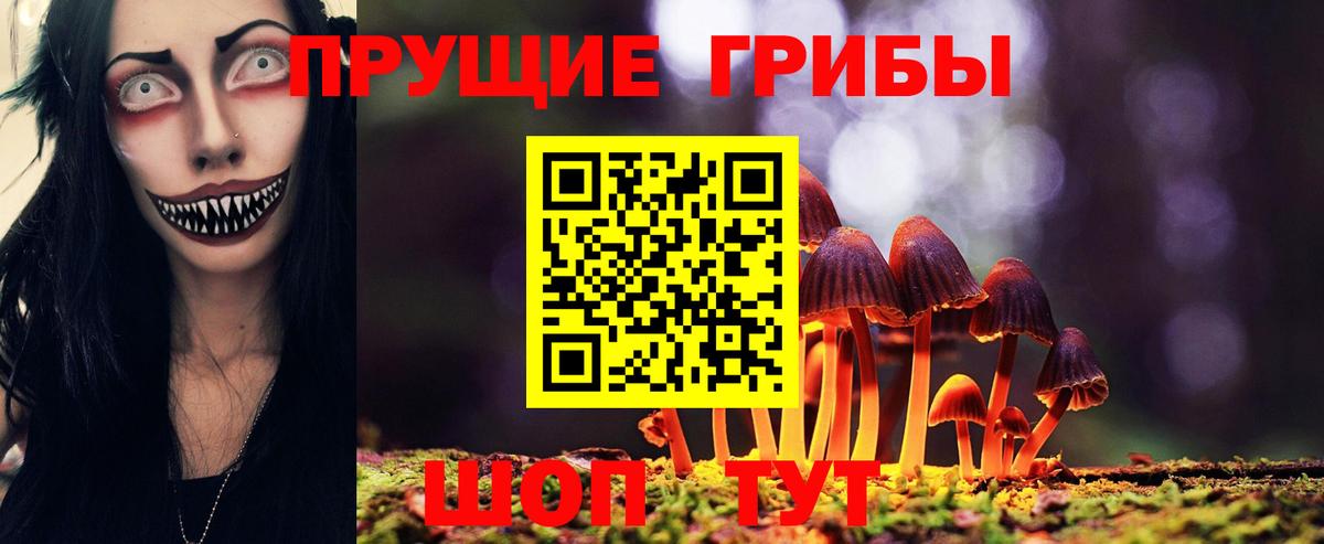 Ишим  Псилоцибиновые грибы Magic Shrooms  Вход с VPN 
